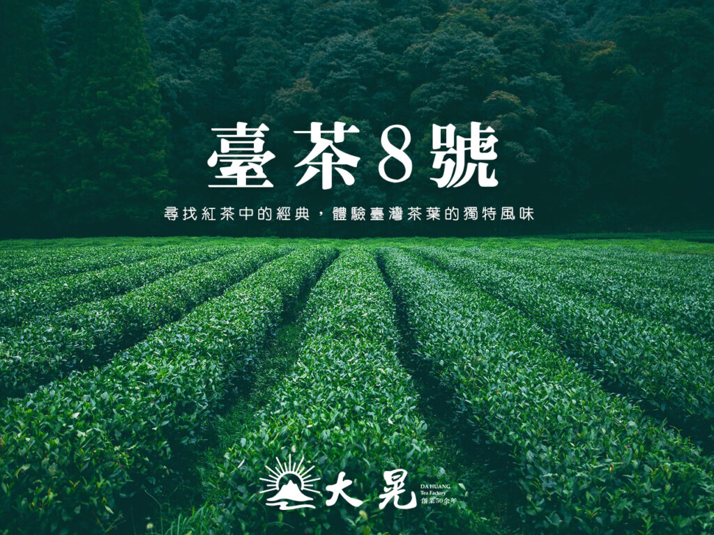 阿薩姆紅茶，又稱台茶8號