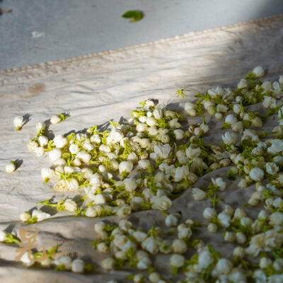 茉莉窨花茶(茉莉花茶)製作流程