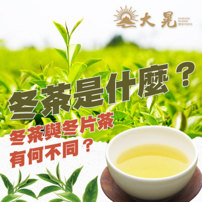 冬茶是什麼? 冬茶與冬片茶有何不同?