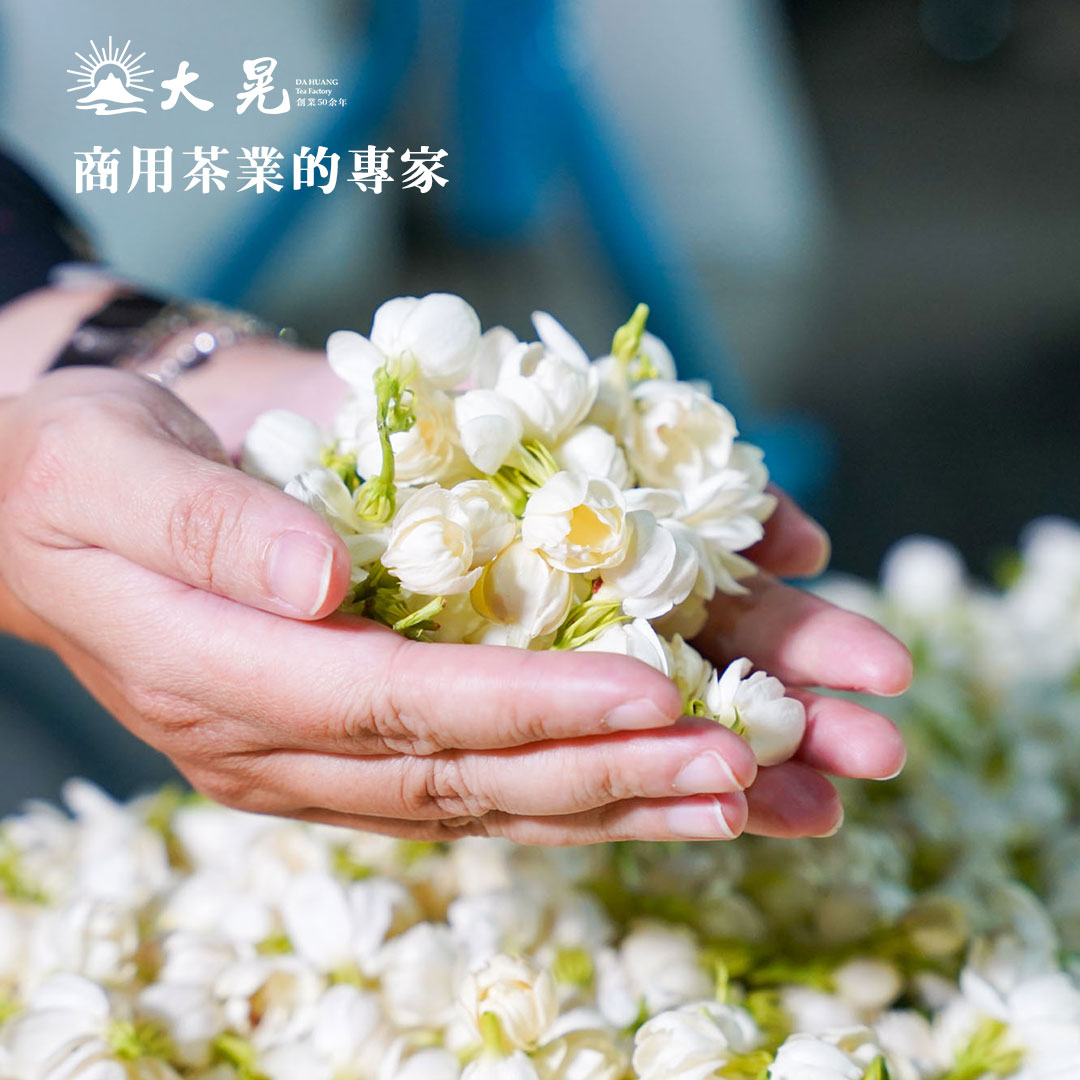 南投名間窨花茶
