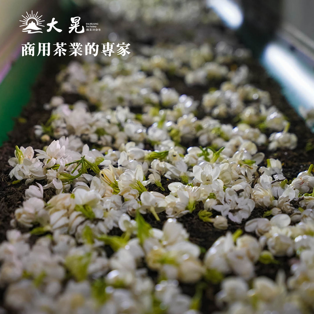 南投名間窨花茶