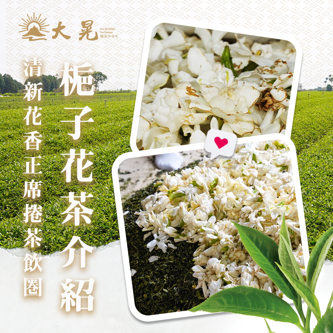 梔子花茶夏日新寵 大晃茶業手搖飲茶葉批發商 梔子花茶夏日新寵